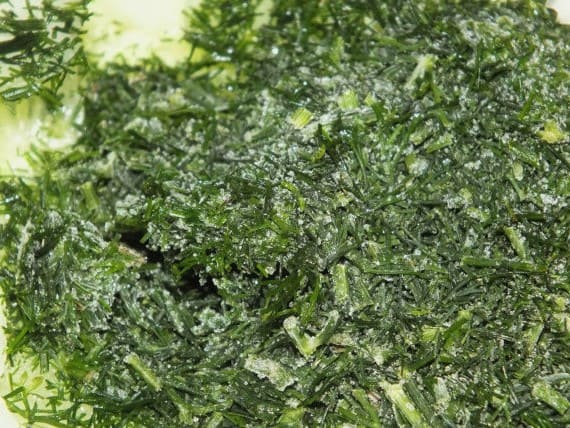 Салат из огурцов с луком и растительным маслом на зиму Салат из огурцов с луком и растительным маслом на зиму