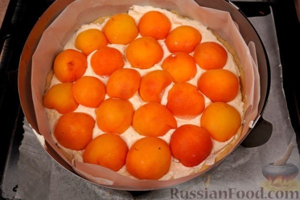 Пирог с творогом и абрикосами Пирог с творогом и абрикосами