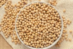 «Фальшивые» продукты — в рацион: стало известно, кому полезно соевое мясо