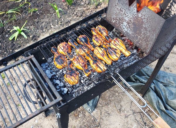Куриные ножки на мангале Куриные ножки на мангале