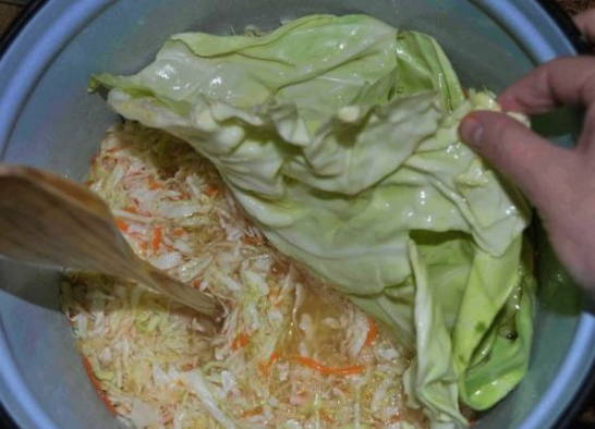 Квашеная капуста на зиму Квашеная капуста на зиму