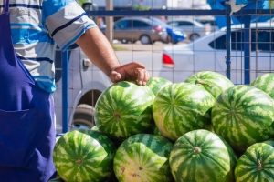 В управлении Роспотребнадзора рекомендовали покупать арбузы только там