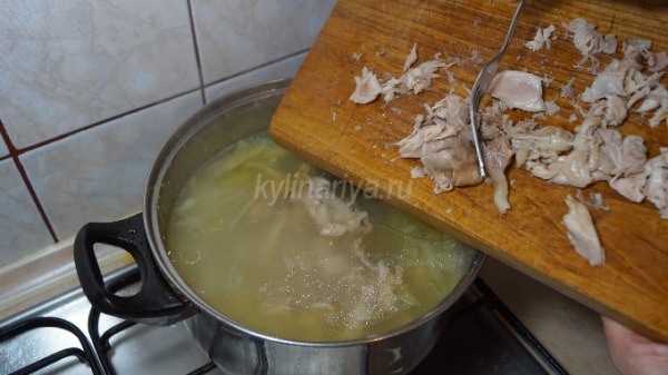 Щи из свежей капусты классические Щи из свежей капусты классические