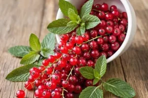 Компот красная смородина с мятой на зиму