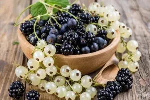 Черная и белая смородина на зиму